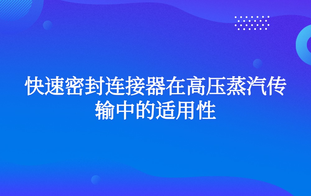 快速密封连接器在高压蒸汽传输中的适用性